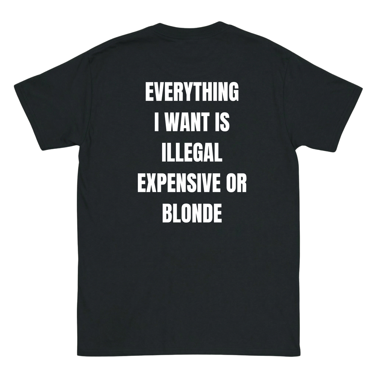 Everything I love is Illegal, expensive or blonde T-Shirt