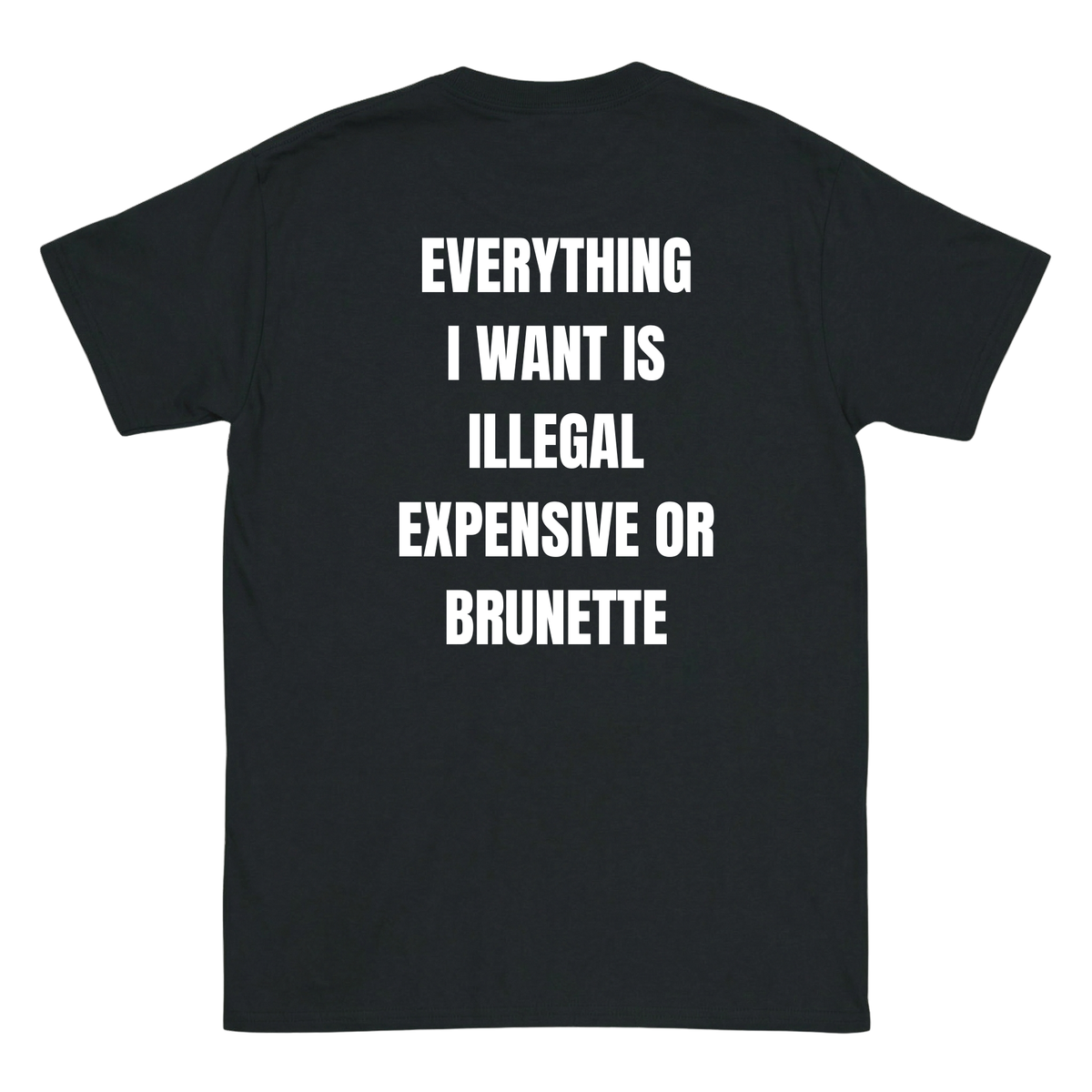 Everything I want is Illegal expensive or brunette T-Shirt