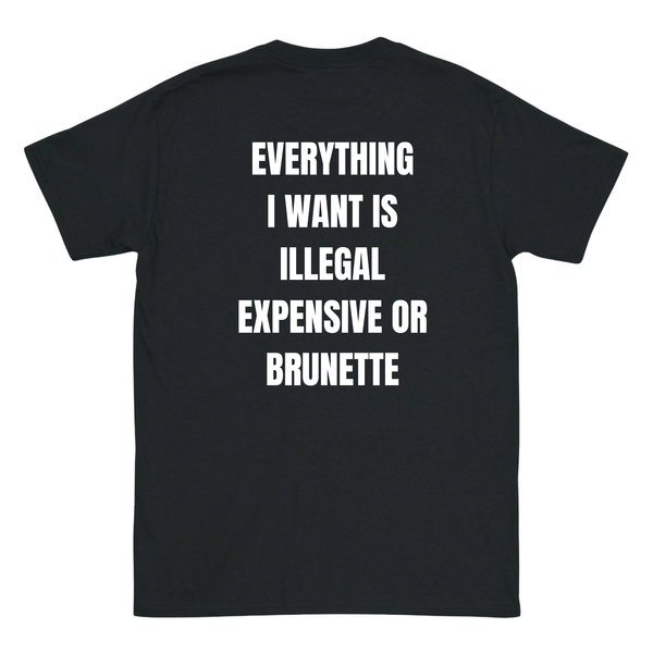 Everything I want is Illegal expensive or brunette T-Shirt