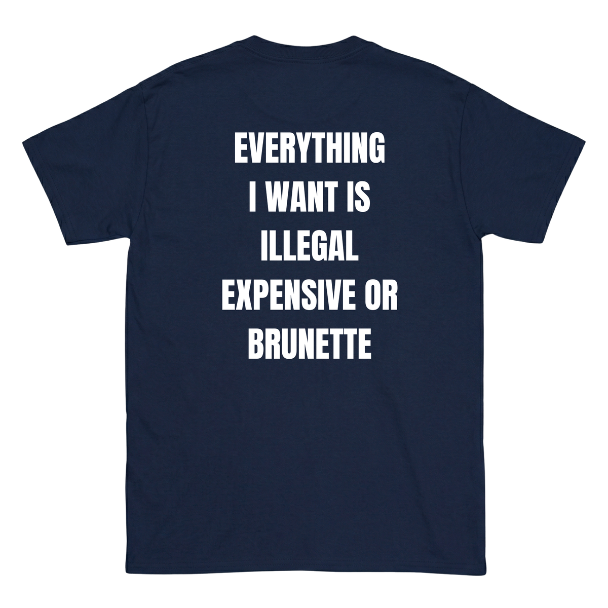 Everything I want is Illegal expensive or brunette T-Shirt