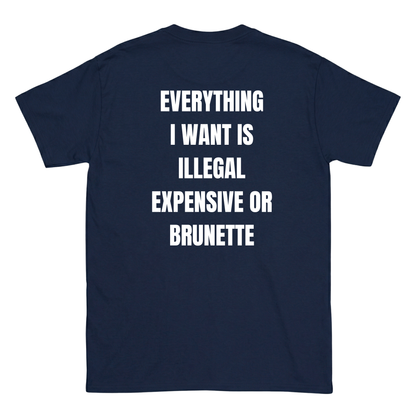 Everything I want is Illegal expensive or brunette T-Shirt