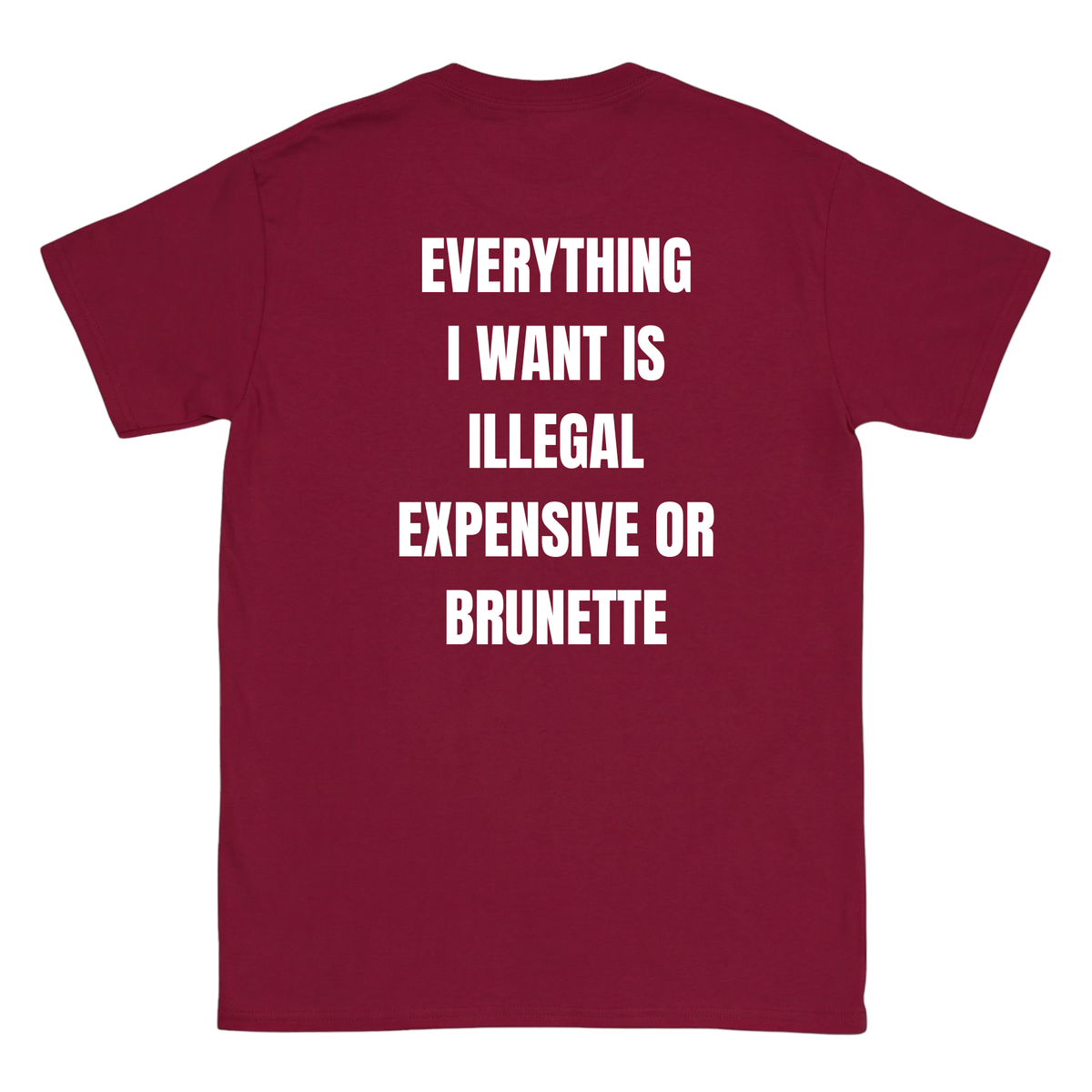 Everything I want is Illegal expensive or brunette T-Shirt