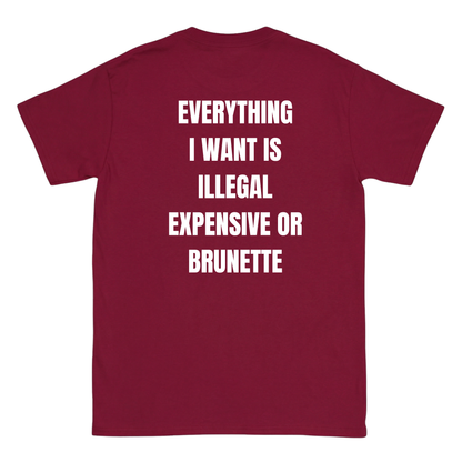 Everything I want is Illegal expensive or brunette T-Shirt