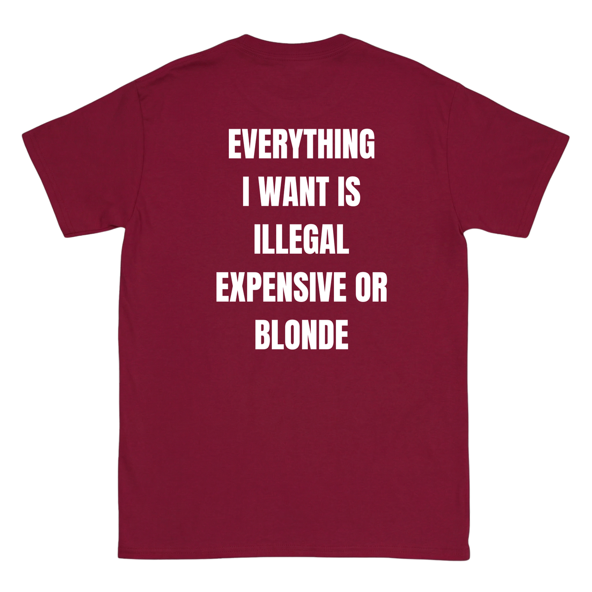 Everything I love is Illegal, expensive or blonde T-Shirt