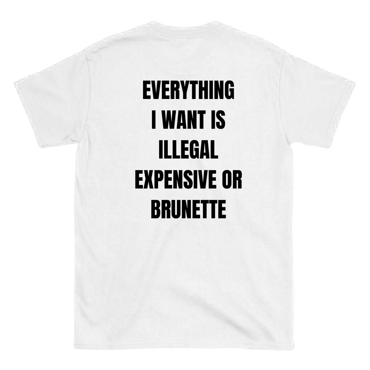 Everything I want is Illegal expensive or brunette T-Shirt