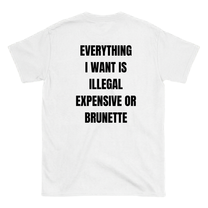 Everything I want is Illegal expensive or brunette T-Shirt