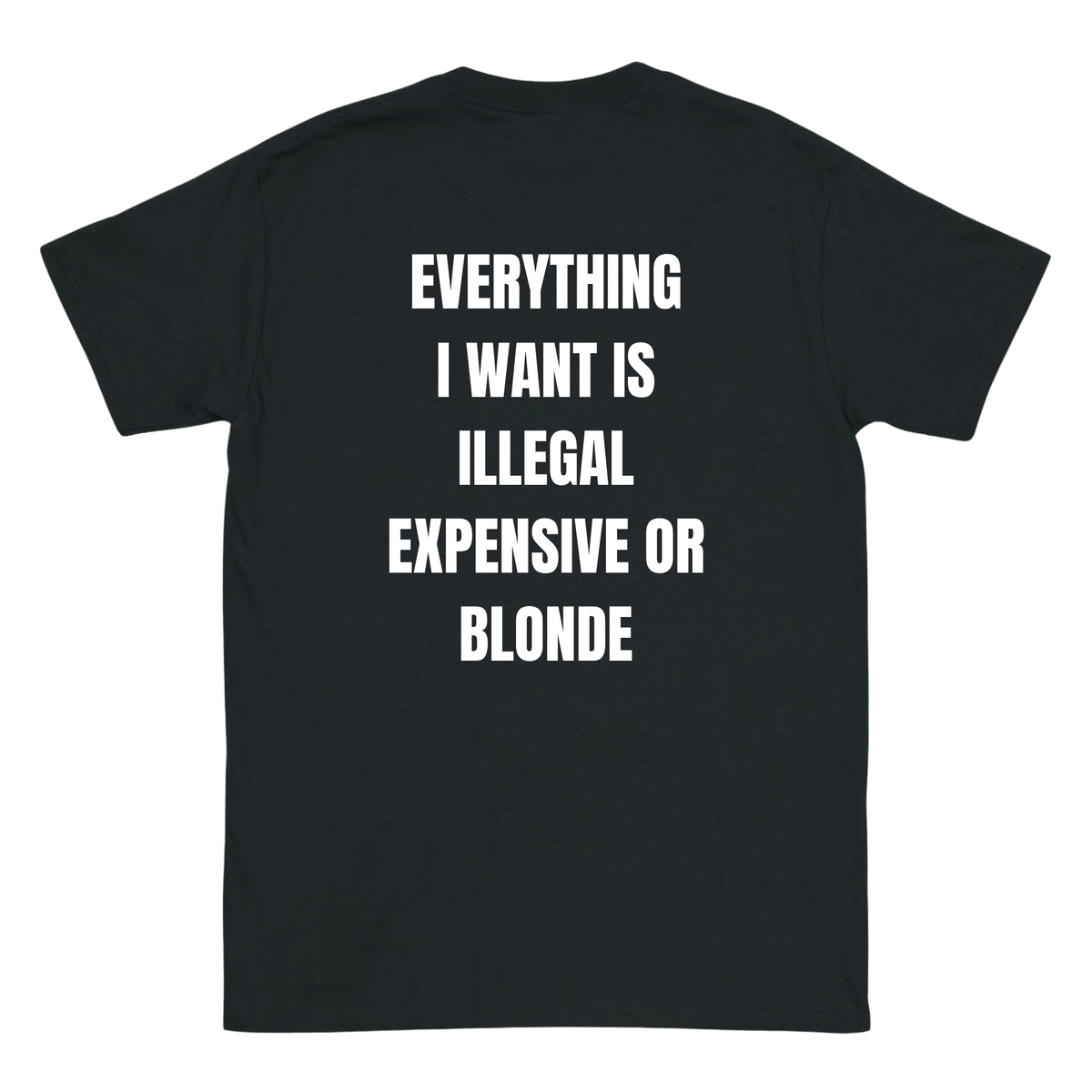 Everything I love is Illegal, expensive or blonde T-Shirt