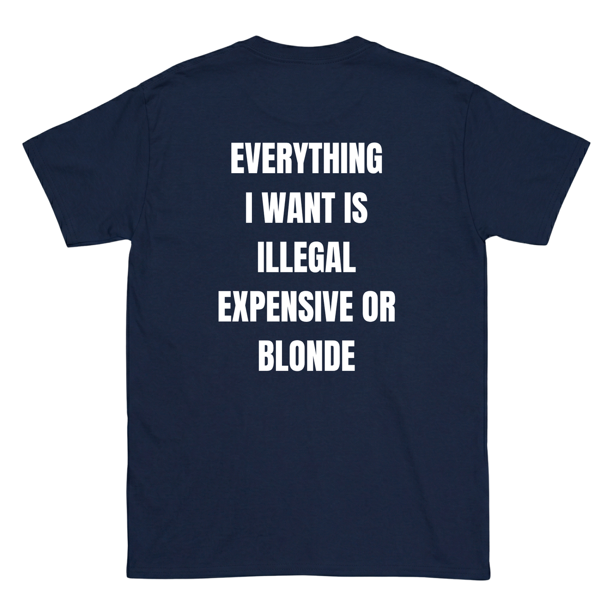 Everything I love is Illegal, expensive or blonde T-Shirt